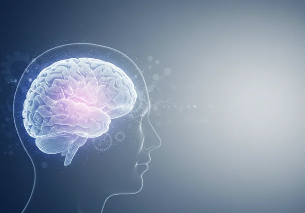 Otak abstrak dengan gear mewakili pemprosesan maklumat