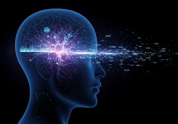Abstract representation of brain insights from a cognitive assessment